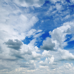 Similar image 1244059