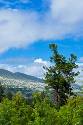 Similar image 1244173