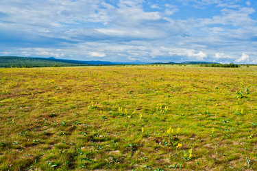 Similar image 1244191