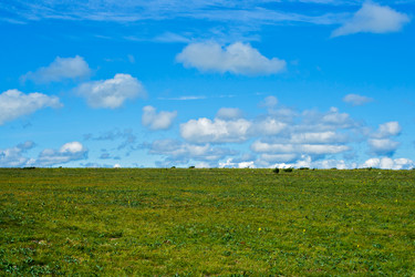 Similar image 1244192