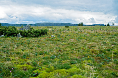 Similar image 1244195