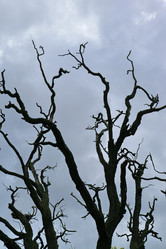 Similar image 1244201