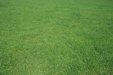 Similar image 1244212