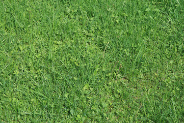 Similar image 1244215