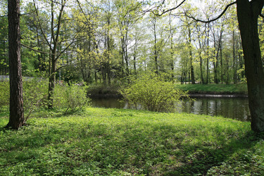 Similar image 1244218