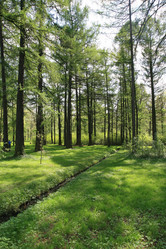 Similar image 1244219