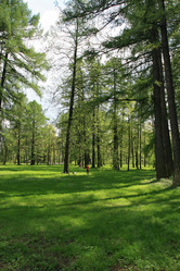 Similar image 1244230