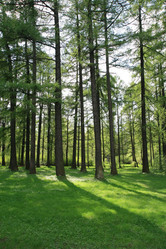 Similar image 1244231