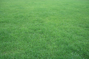 Similar image 1244236