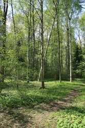 Similar image 1244241