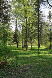 Similar image 1244242