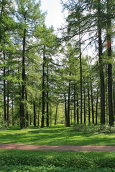 Similar image 1244245