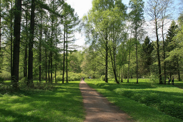 Similar image 1244246