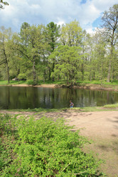 Similar image 1244252