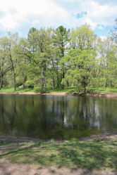 Similar image 1244254