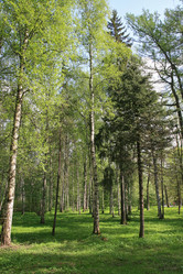 Similar image 1244255