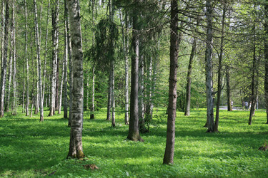 Similar image 1244257