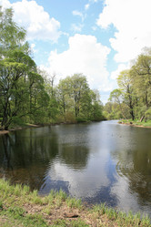 Similar image 1244265