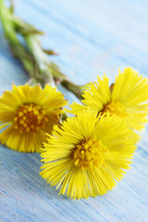 Similar image 1244333