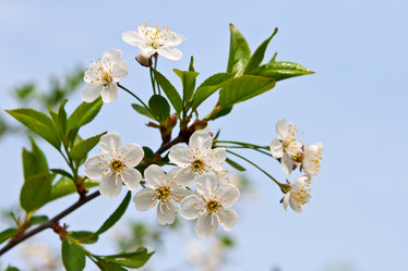 Similar image 1244368