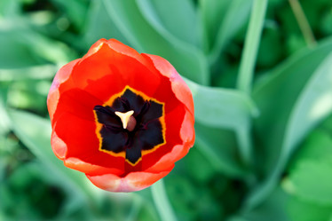 Similar image 1244370