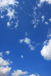 Similar image 1244419