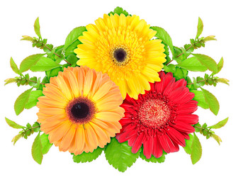 Similar image 1244439