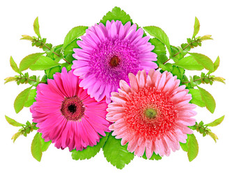 Similar image 1244446