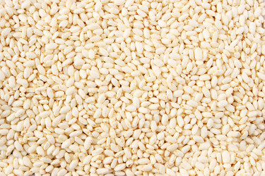 Similar image 1244567