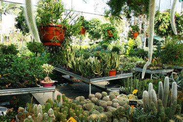 Similar image 1244568