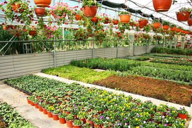 Similar image 1244575