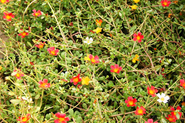 Similar image 1244576