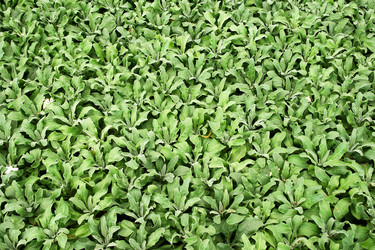 Similar image 1244577