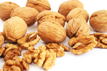 Similar image 1244578