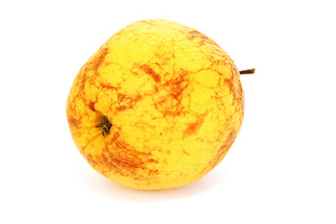 Similar image 1244601