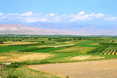 Similar image 1244609