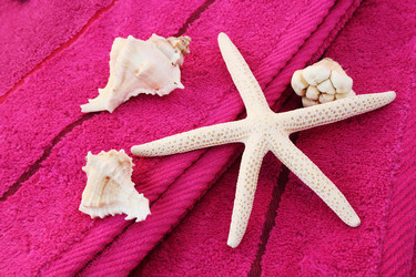 Similar image 1244611