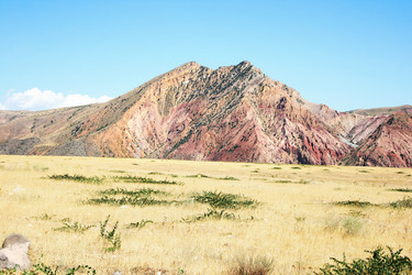 Similar image 1244617