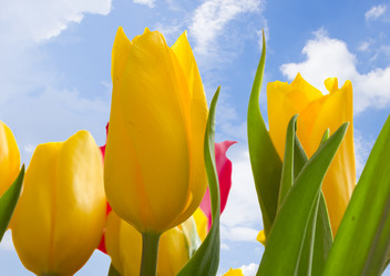 Similar image 1244656