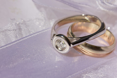 Similar image 1244657