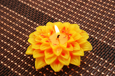 Similar image 1244699