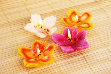 Similar image 1244712