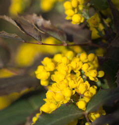 Similar image 1244728