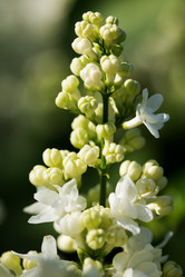 Similar image 1244729