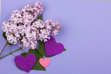 Similar image 1244750