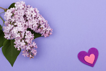 Similar image 1244751