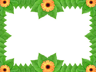 Similar image 1244861