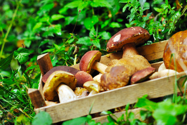 Similar image 1244968