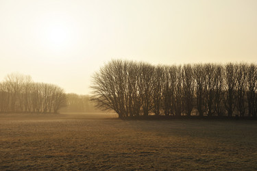 Similar image 1245025