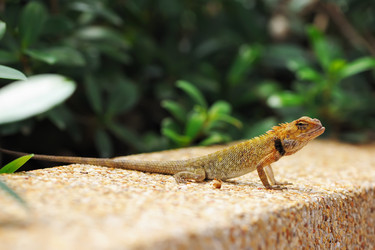 Similar image 1245073